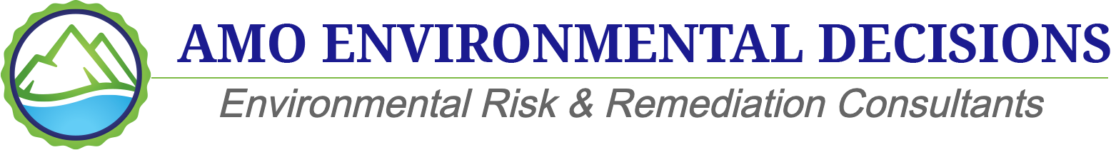 AMO Environmental Decisions